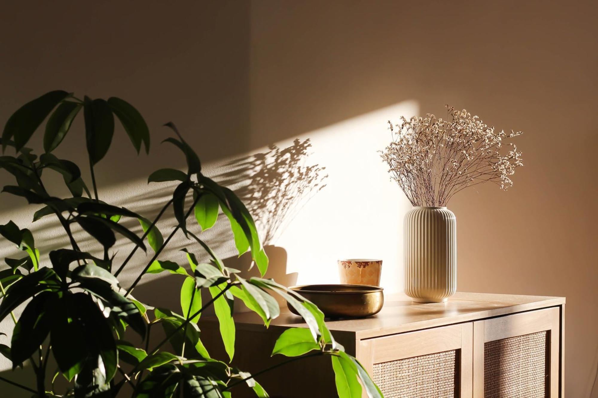 Apartment Penthouse La Vigie